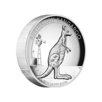 Australija 2012 Australijos kengūra